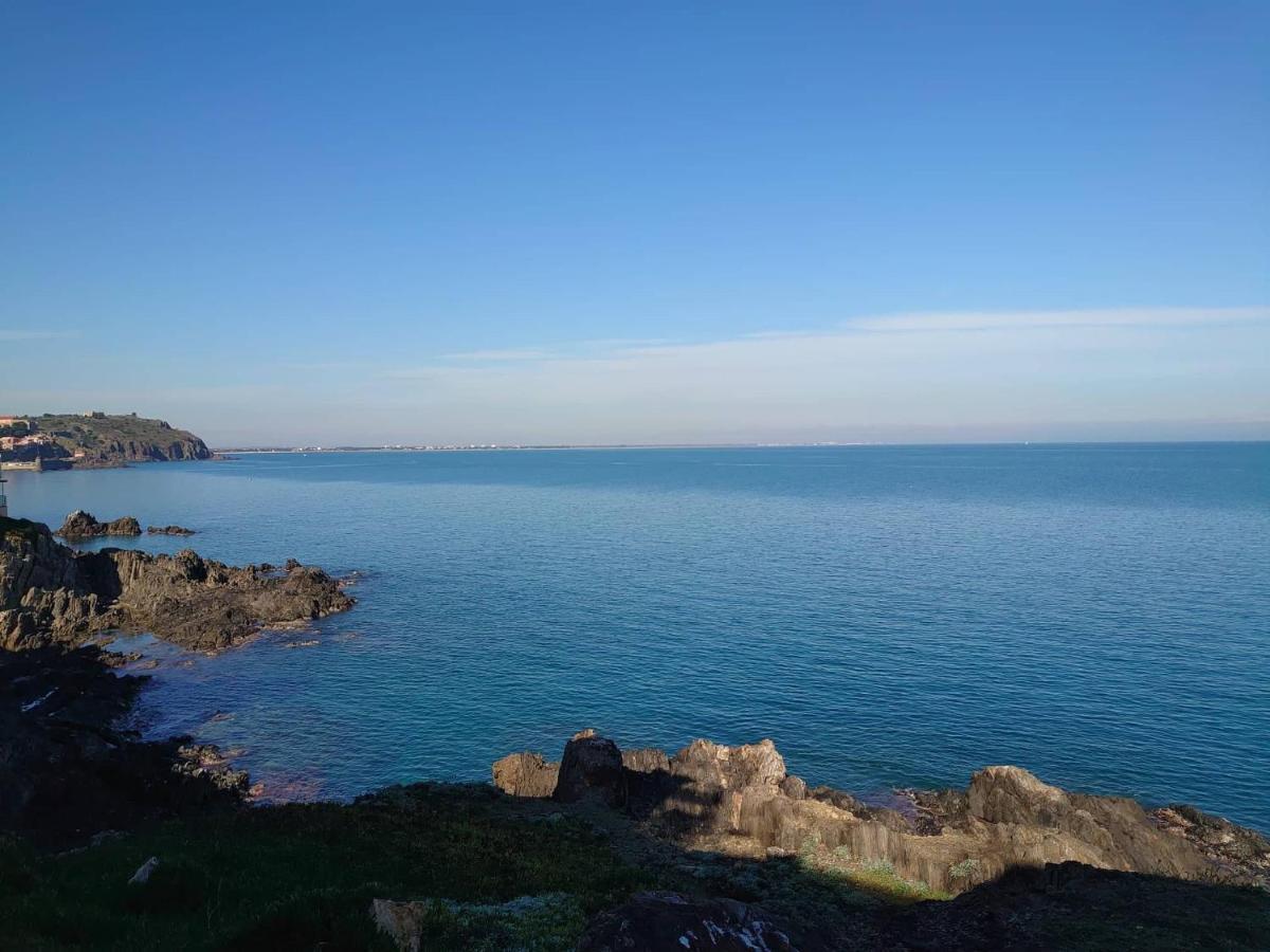4Rb4 Appartement Type T2 Bord De Mer Acces Plage Direct Collioure Kültér fotó