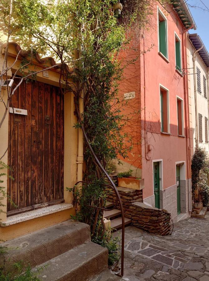4Rb4 Appartement Type T2 Bord De Mer Acces Plage Direct Collioure Kültér fotó